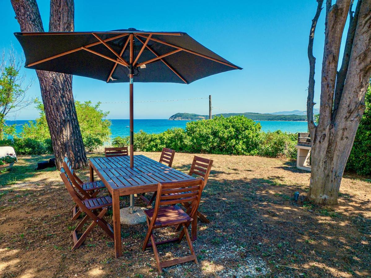 Villa Tanaquilla Baratti Exterior foto